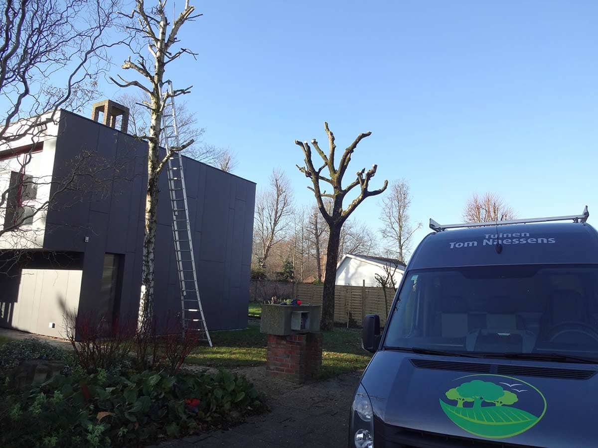 Tuinen Tom Naessens Tuinen Tom Naessens